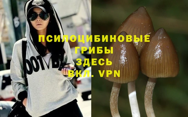 соль курить ск Пересвет