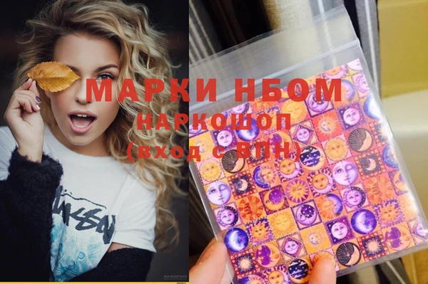 прущие грибы Абинск