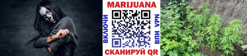 Канабис MAZAR  наркотики  Терек 